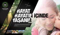 Интернет-магазин автомобильных шин как прибыльный бизнес