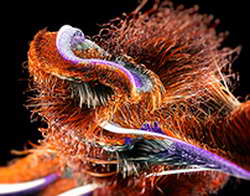 Мика Хаккинен о подготовке дочери к «Ф-1»: «Гонщицы пробьются на высший уровень к 2030-му – Элла или кто-то еще»