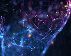 Валютный рынок, Daily history за 1 апреля 2026 г.