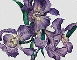 Винисиус из-за сложных отношений с Алонсо не хочет продлевать контракт с «Реалом». Вингер сказал об этом Пересу на встрече, когда извинялся за поведение в класико (The Athletic)