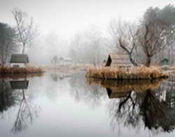 К чему снится хищник?