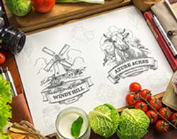 Сюрприз от Flash PMI еврозоны позволил евро продолжать борьбу