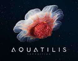 Иран готов возобновить переговоры по атому при условии доброй воли со стороны Запада