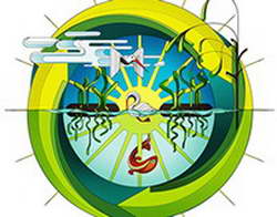 Биткоин рухнул с вершины на страхах перед ужесточением политики ФРС