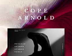 НФЛ. 2-я неделя. «Нью-Орлеан» сыграет с «Сан-Франциско», «Канзас-Сити» против «Филадельфии» и другие матчи