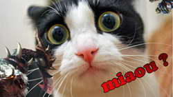 Ученые зафиксировали космический сигнал, шедший к Земле 13 млрд лет