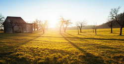 Депутат Терюшков об РПЛ: «В топ-клубах наши игроки на лавке из-за легионеров. Мы выкидываем в футбол запредельный объем денег, чтобы посмотреть, как бразильцы играют с европейцами»